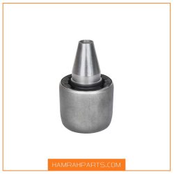 بوش سگ دست تالیسمان