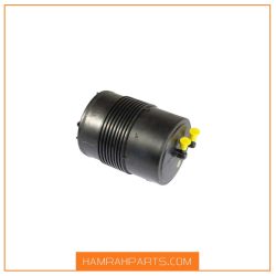 کنیستر بنزین پژو BPA 405