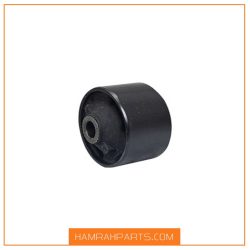 بوش طبق بزرگ اریزو 5