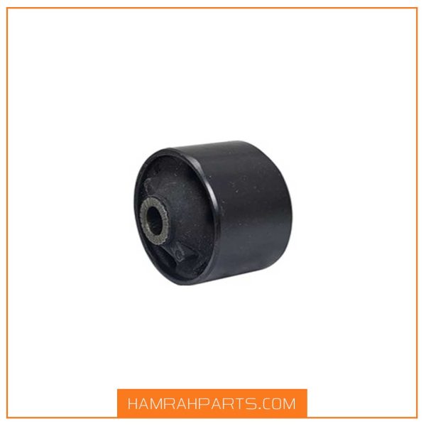 بوش طبق بزرگ اریزو 5