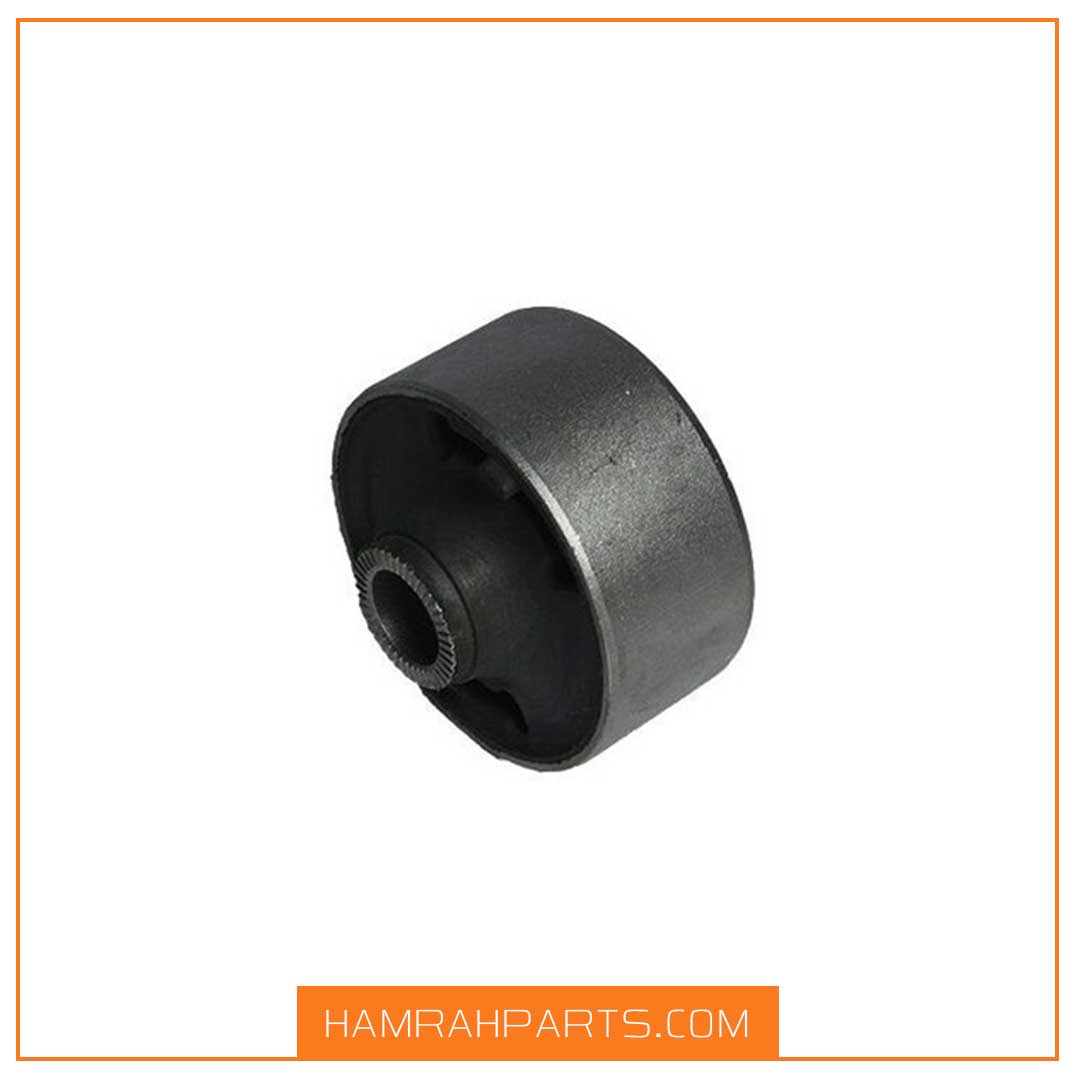 1 بوش بزرگ طبق اریو - Image 1