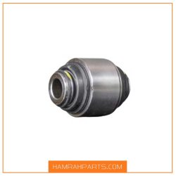 بوش بزرگ سگدست جک اس 5