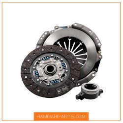 دیسک و صفحه رانا برند عظام