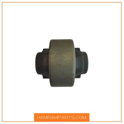 بوش بزرگ طبق لیفان 820