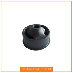 بوش بزرگ طبق لیفان 620