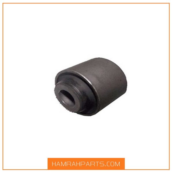 بوش طبق کوچک اریزو 5