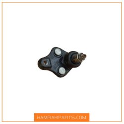 سیبک طبق شاهین