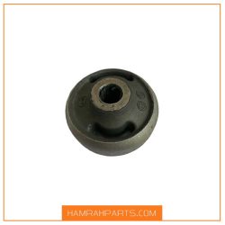 بوش بزرگ طبق بسترن