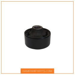 بوش بزرگ طبق جیلی شاسی امگرند