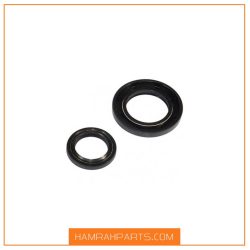 کاسه نمد جعبه فرمان پژو 206 برند ویژن