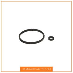 کاسه نمد فیلتر و پایه نگهدارنده -دوتایی پژو 206 برند ویژن