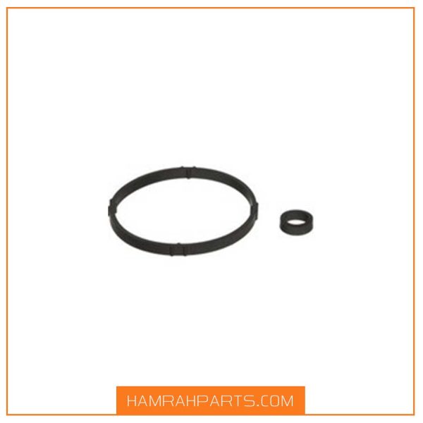 کاسه نمد فیلتر و پایه نگهدارنده -دوتایی پژو 206 برند ویژن