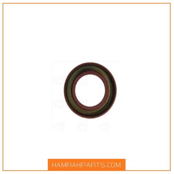 کاسه نمد پنیون اریسان برند ویژن