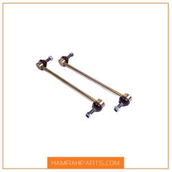 سیبک تعادل زانتیا رفیع نیا