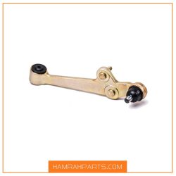 طبق ریو و تیبا راست و چپ رفیع نیا