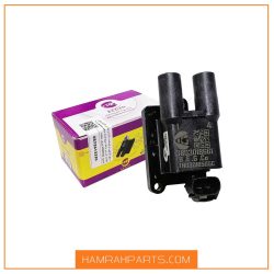 کویل تکی مشکی نیسان برند B.N.Pبهرام الکترونیک گستر